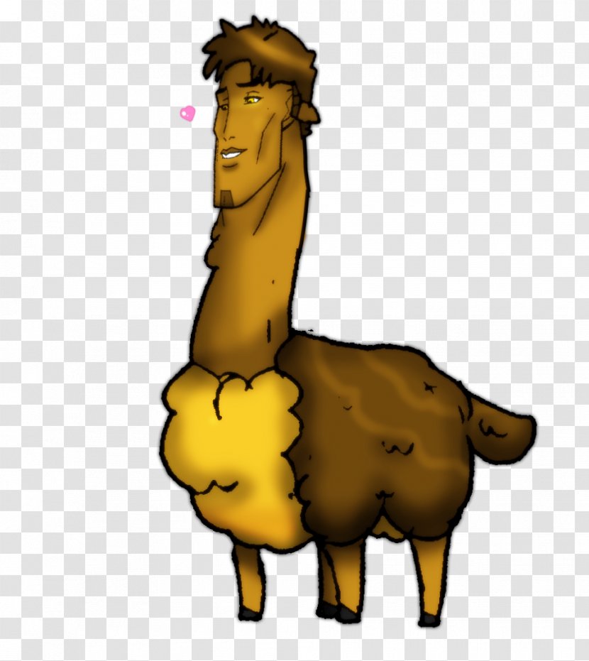 Llama Pack Animal Drawing Camel - Mane Transparent PNG