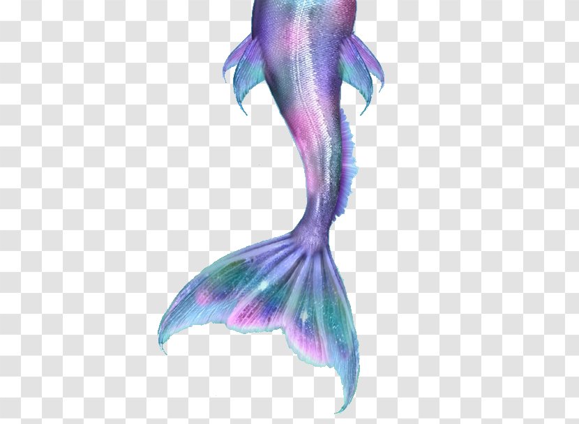 Mermaid Ariel Merliah Summers Drawing Tail Transparent PNG