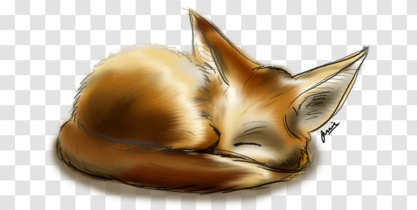 Fennec Fox Drawing Art - Tail Transparent PNG
