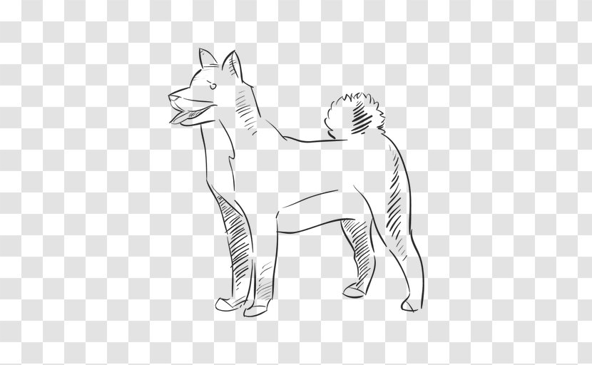 Whiskers Dog Breed Puppy West Highland White Terrier Line Art - Drawing Transparent PNG