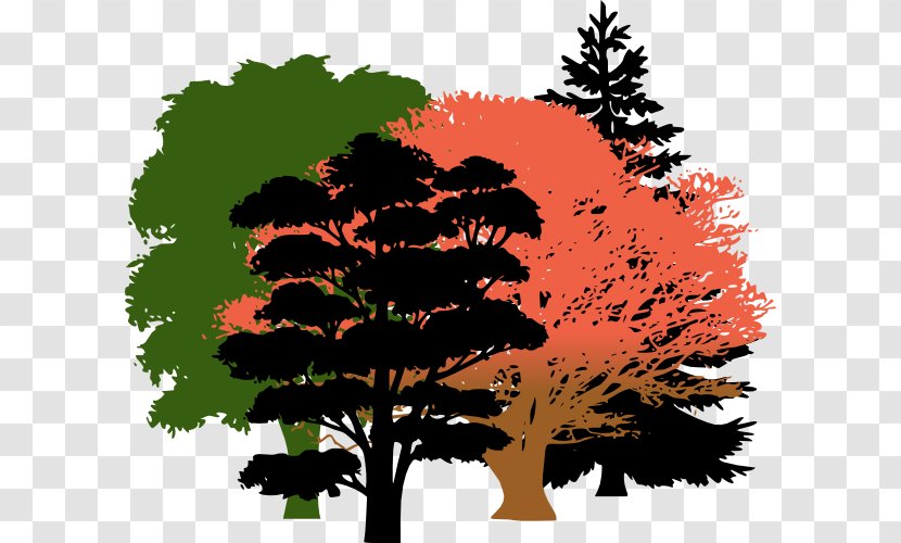 Tree Pine Evergreen Clip Art - Silhouette - Woods Clipart Transparent PNG