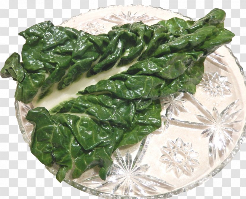 Chard Beetroot Nutrition Food Vegetable - Herb - Beet Leaves Transparent PNG