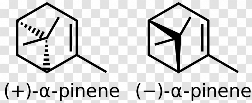 Alpha-Pinene Monoterpene Beta-Pinene - Camphor - Alphapinene Transparent PNG