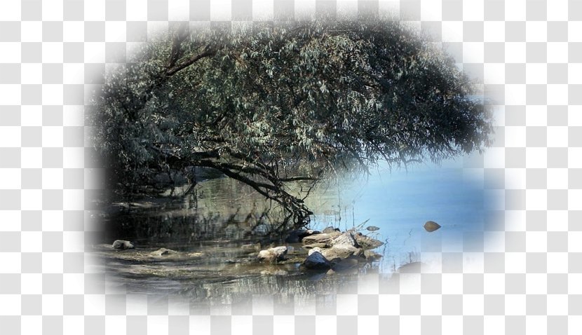 Landscape Painting Blog Clip Art - Com - Water Resources Transparent PNG