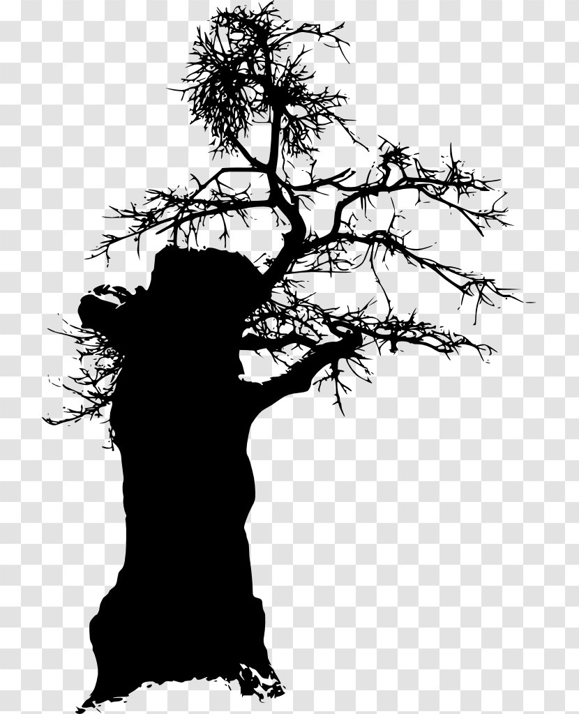 Silhouette Tree - Photography - Silhouettes Transparent PNG
