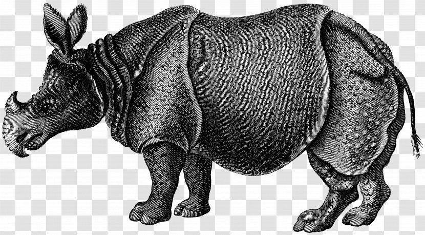 Rhinoceros Zoological Lectures Delivered At The Royal Institution; Tile Striped Hyena Mammal - African Rhino Transparent PNG