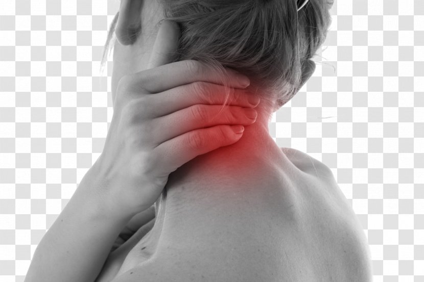 Neck Pain In Spine Free Physical Therapy Chiropractic - Tree - Middle Shoulder Transparent PNG