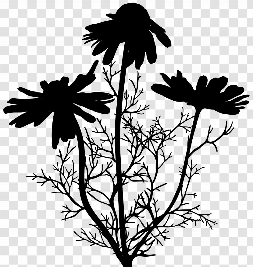 Twig Plant Stem Flower Leaf Font Transparent PNG