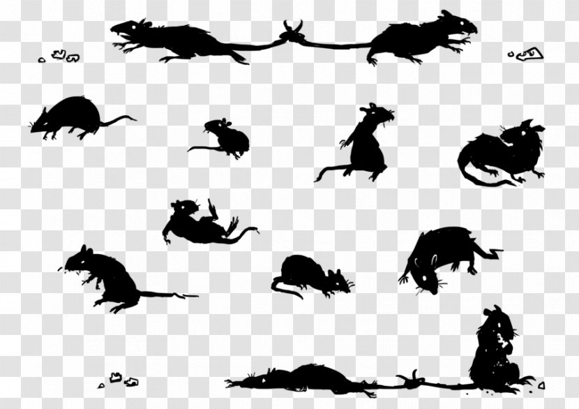 Drawing Art Rat - Carnivoran - & Mouse Transparent PNG