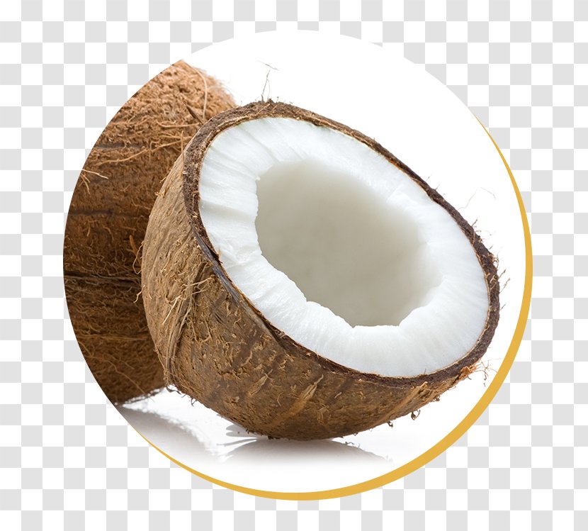 Stock Photography Food India Coconut Transparent PNG