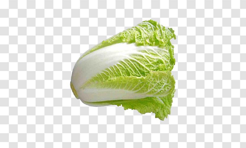 Vegetable Seed Chinese Cabbage Sowing Food - Lettuce - Delicious Transparent PNG