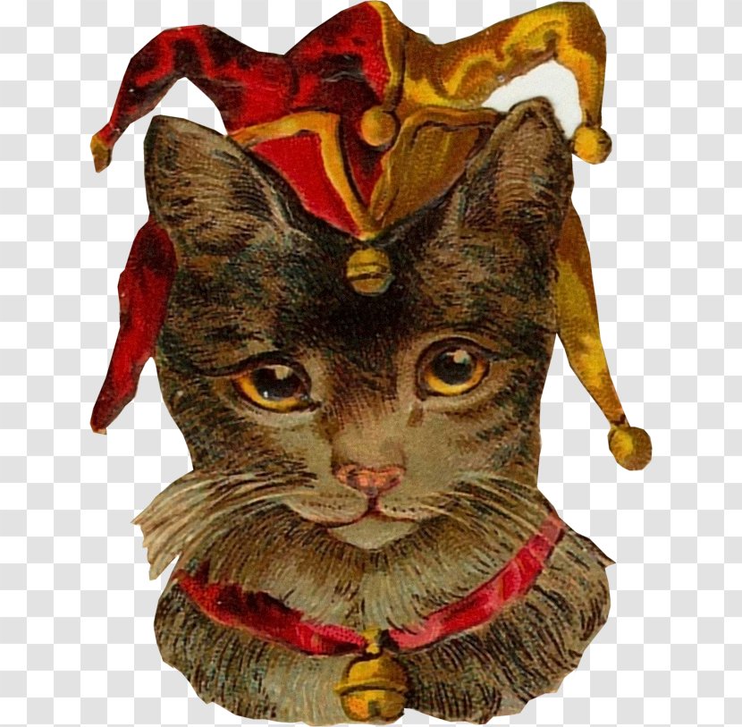 Cat Kitten Victorian Era Clip Art - Whiskers Transparent PNG