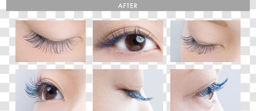 Eyelash Extensions Artificial Hair Integrations まつ毛エクステンション Mascara - Eyebrow - Eyelashes Extension Transparent PNG