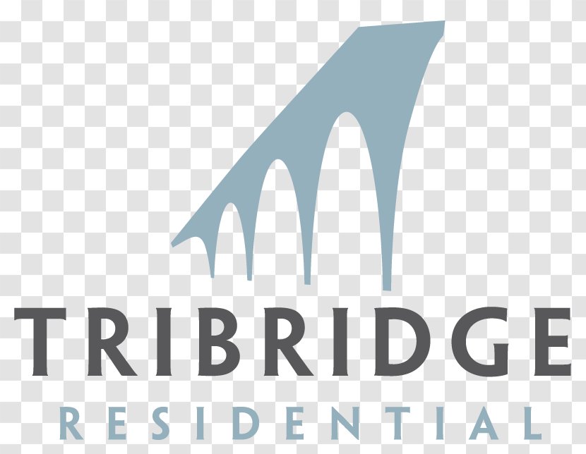 BRIDGE Energy Group Public Utility Marketing Management - Website Background Transparent PNG