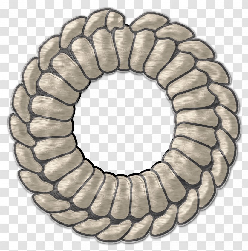 Clip Art - Royaltyfree - Gray Line Combination Ring Rope Transparent PNG