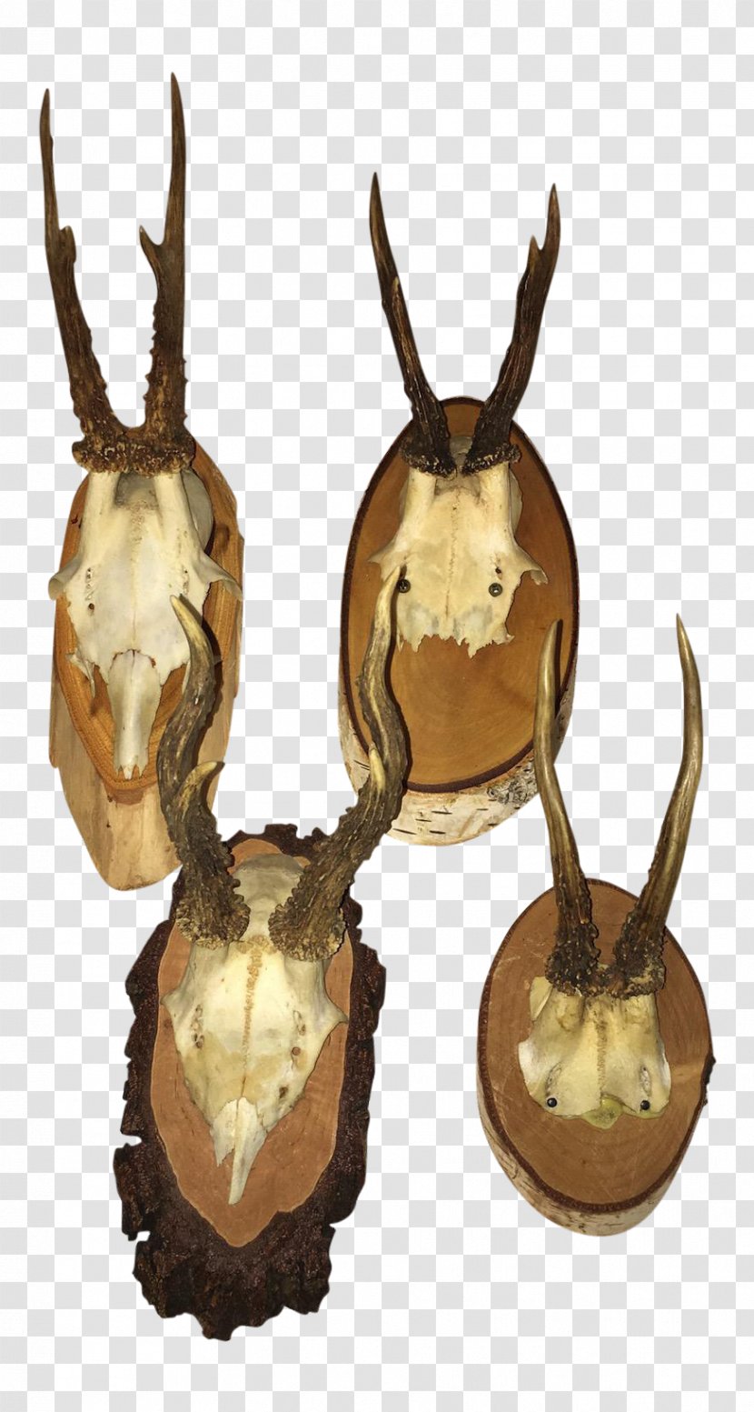 Antler Roe Deer Trophy Hunting Horn - Antlers Transparent PNG