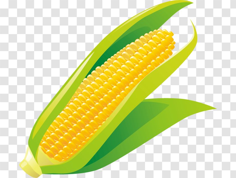 Corn On The Cob Corncob Maize - Ear - 3g Summer Special Privileges Transparent PNG
