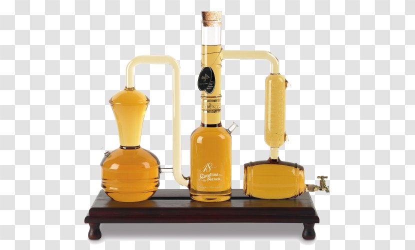 Liqueur Grappa Wine Distillation Distilled Beverage Transparent PNG