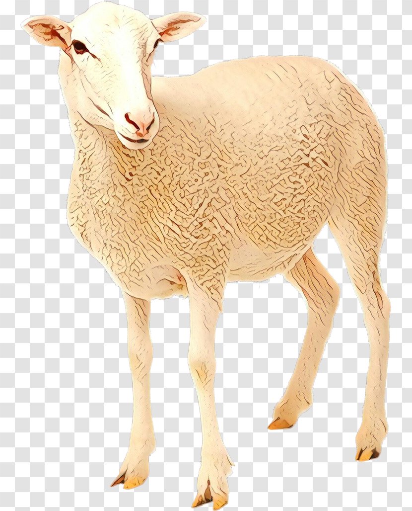 Sheep Clip Art Product Goat Image - Animal Figure - Mammal Transparent PNG
