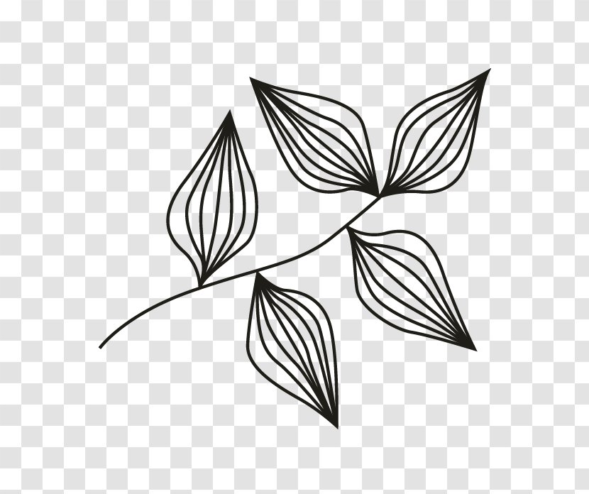 /m/02csf Line Art Drawing Leaf - Black And White Transparent PNG