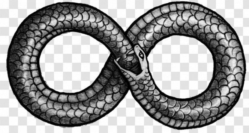 Snakes Ouroboros Infinity Symbol Tattoo Serpent - Common European Viper - Snake Logo Transparent PNG