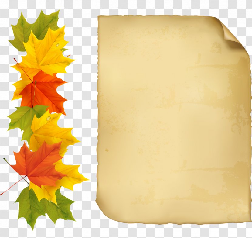 Autumn Picture Frames Clip Art - Tree - Leaves Hand-painted Transparent PNG