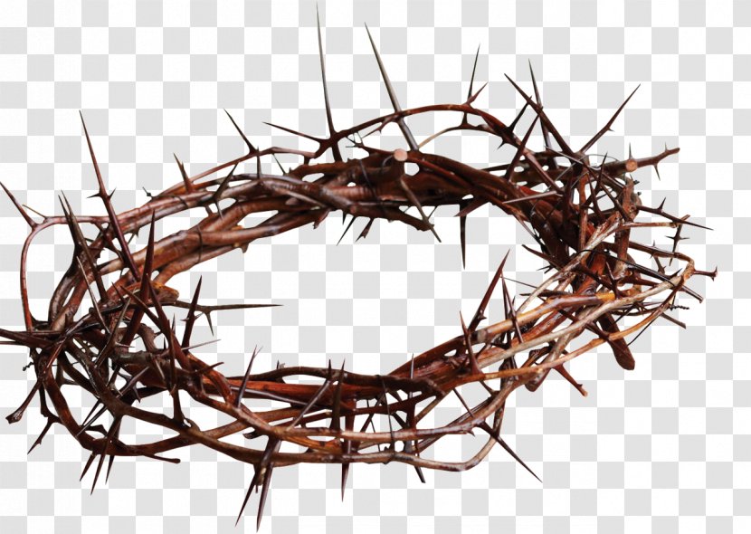 Crown Of Thorns Christian Cross Symbol Thorns, Spines, And Prickles Clip Art - Jesus - Metal Nail Transparent PNG