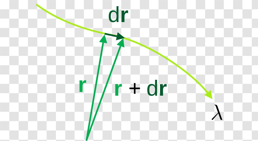 Line Element Geodesic Mathematics Of General Relativity Curvature - Diagram Transparent PNG