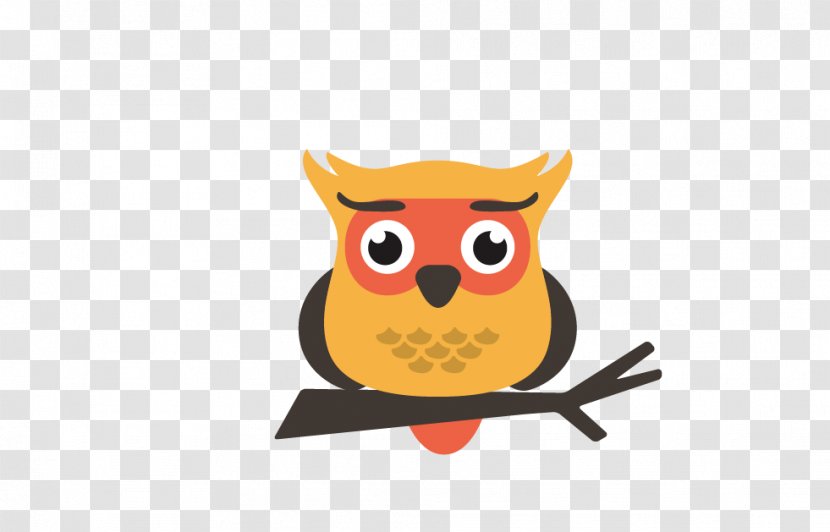 Owl Cartoon - Animation Transparent PNG