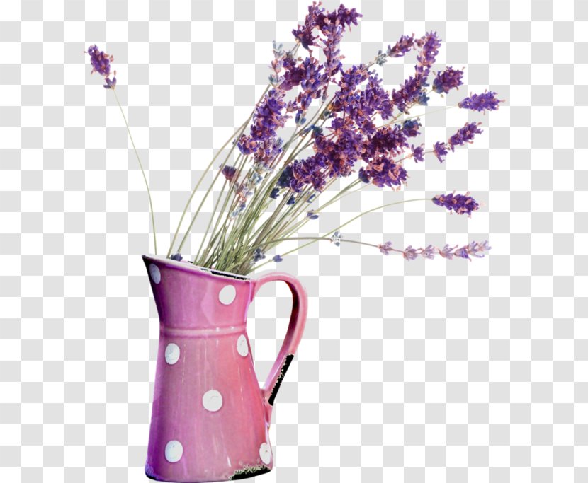 English Lavender Oil Essential French - Steam Distillation Transparent PNG