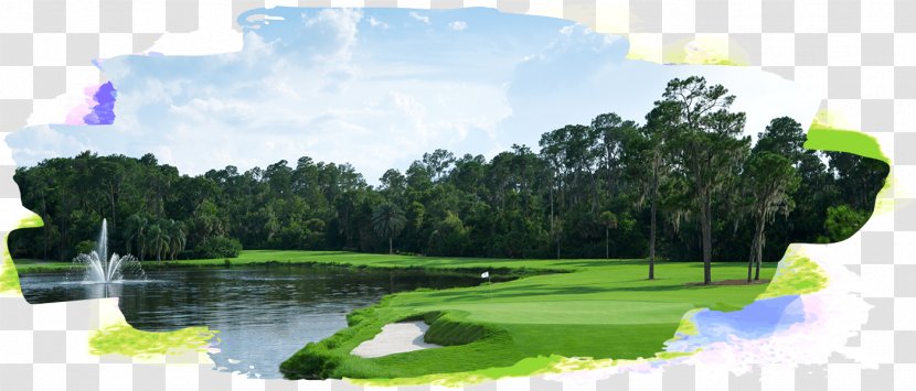 Walt Disney World Resort Golf Disney's Palm Course Orlando Lake Buena Vista - United States - Event Transparent PNG