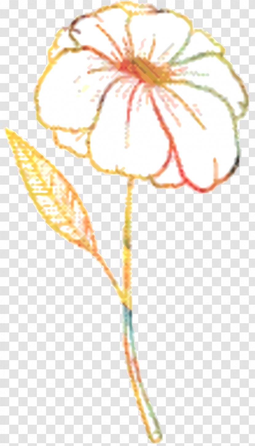 Poppy Flower - Petal - Wildflower Family Transparent PNG
