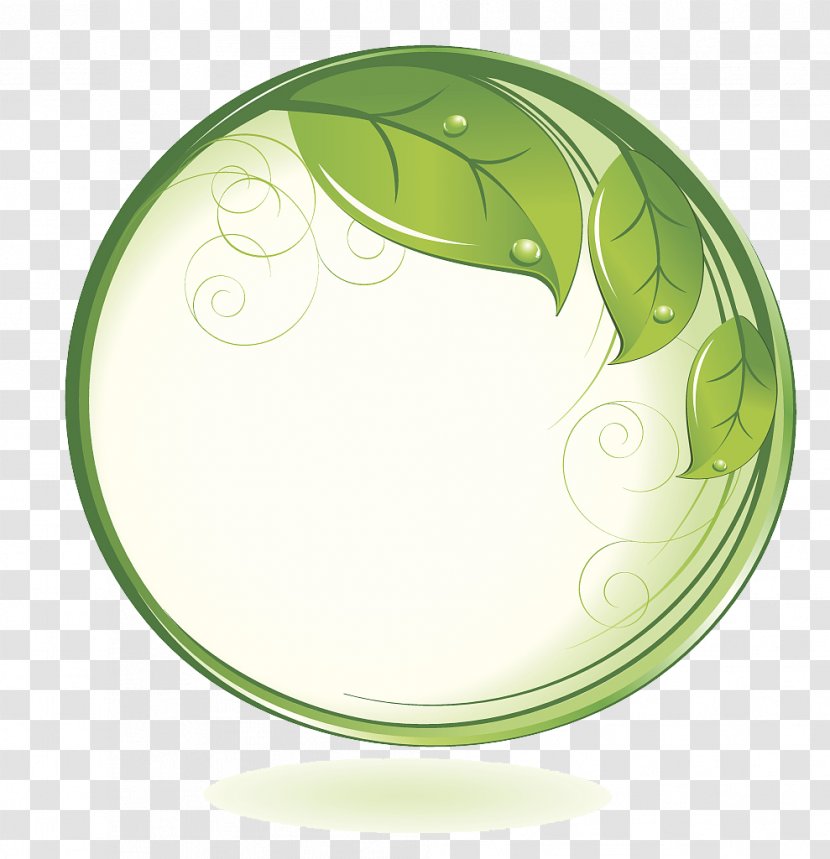 Vector Green Leafy Branches Around The Circle - Leaf - Description Transparent PNG