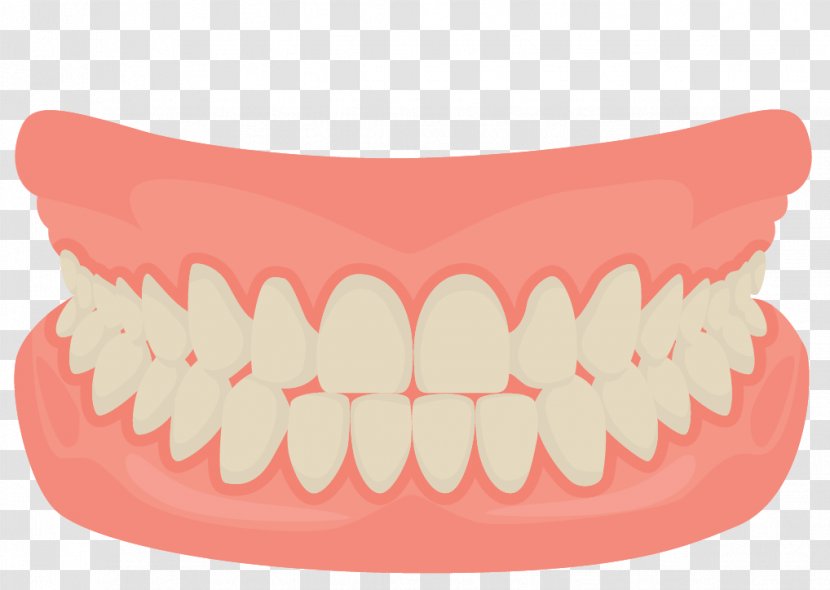 Human Tooth Smile Mouth Dentistry - Tree - Vector Cartoon Smiling Teeth Transparent PNG