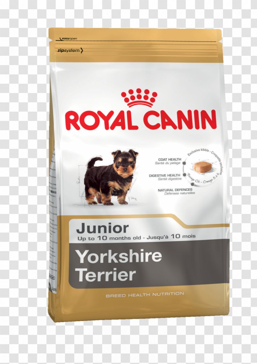 Yorkshire Terrier Cat Food Bulldog Puppy Transparent PNG