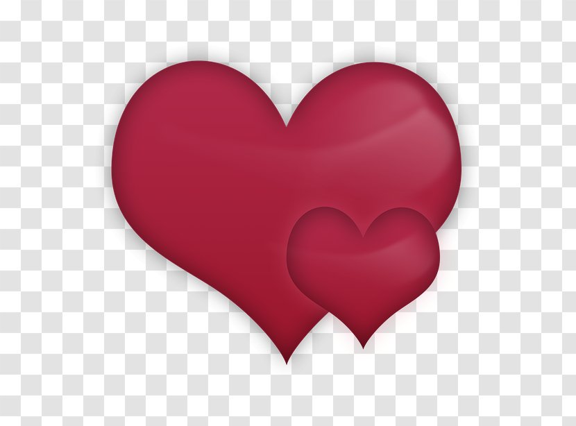 Heart Image Love Photograph Valentine's Day - Flower Transparent PNG