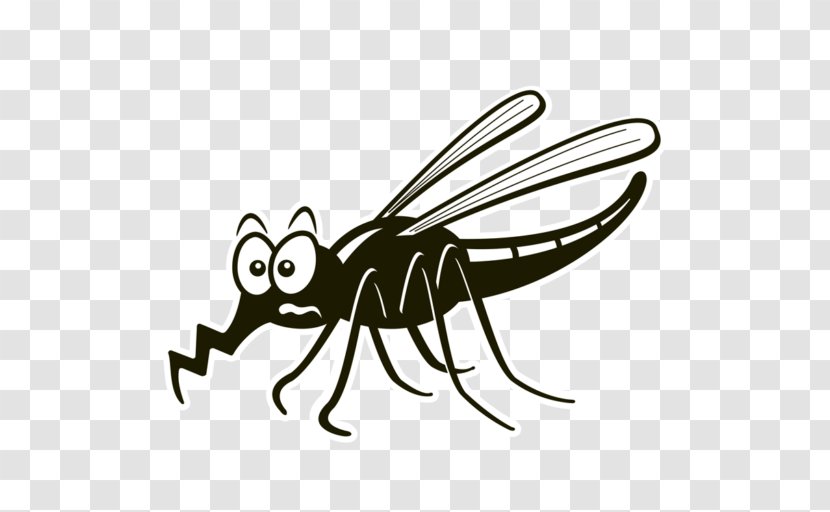 Insect Line Art Pollinator Cartoon Clip - Pest Transparent PNG