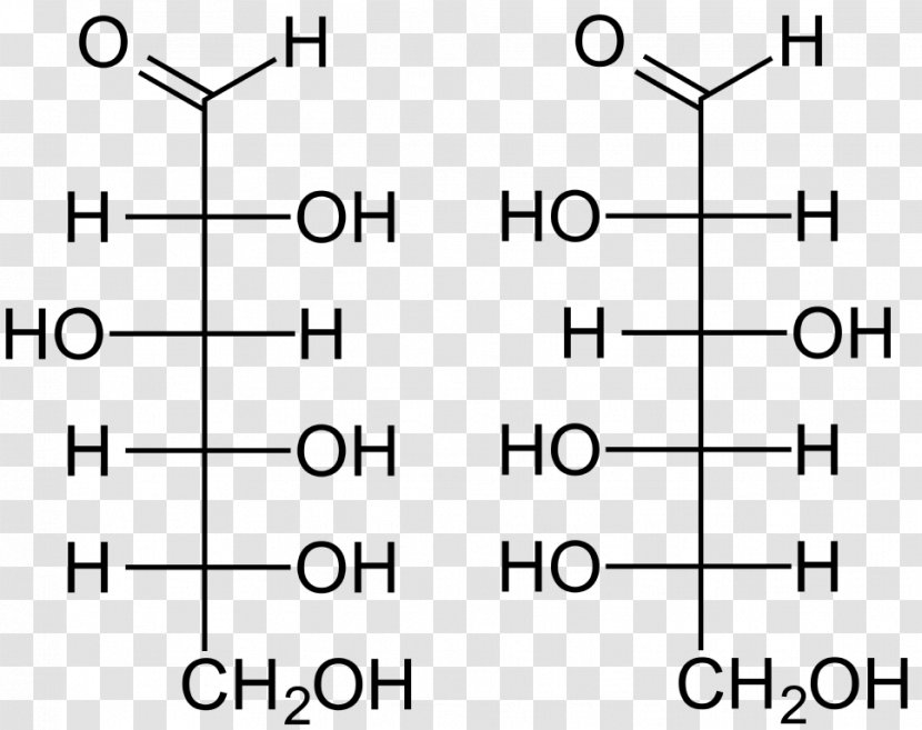 L-Glucose Aldohexose Monosaccharide Fructose - Tree - L Transparent PNG
