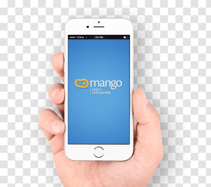 Handheld Devices Smartphone Apple IPhone - Manggo Transparent PNG