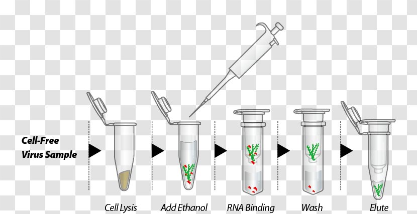 RNA Extraction Trizol DNA - Drinkware - Dna Column Transparent PNG