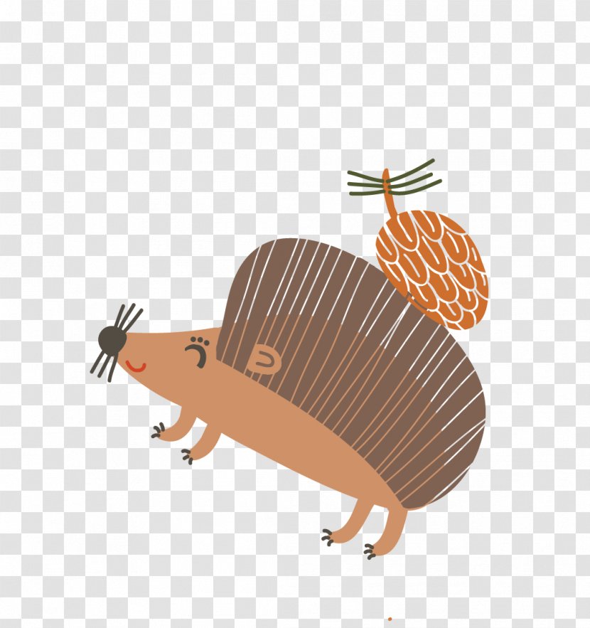 Hedgehog Armadillo Cartoon Animal - Flat Design Transparent PNG