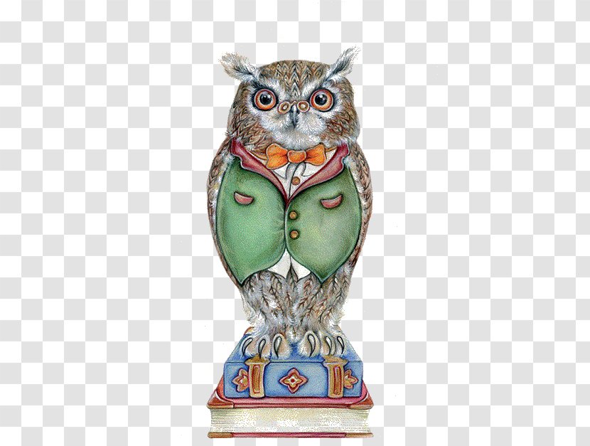 Owl Bird Drawing Clothing - Artifact - Owls Wearing Clothes Transparent PNG