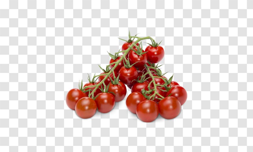 Plum Tomato Bush Food Vegetarian Cuisine - Lokaal - Cherry Material Transparent PNG