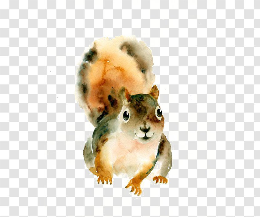 Squirrel Watercolor: Animals Watercolor Painting Art - Hamster Transparent PNG