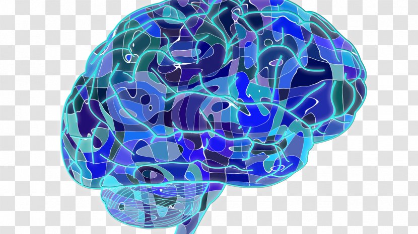 Cognition Human Brain Cognitive Neuroscience Research - Tree Transparent PNG