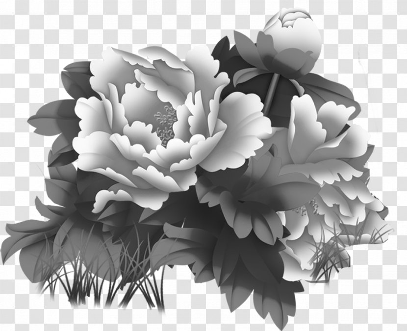 Moutan Peony Ink Wash Painting - Pink - Vector Floral Flowers Transparent PNG