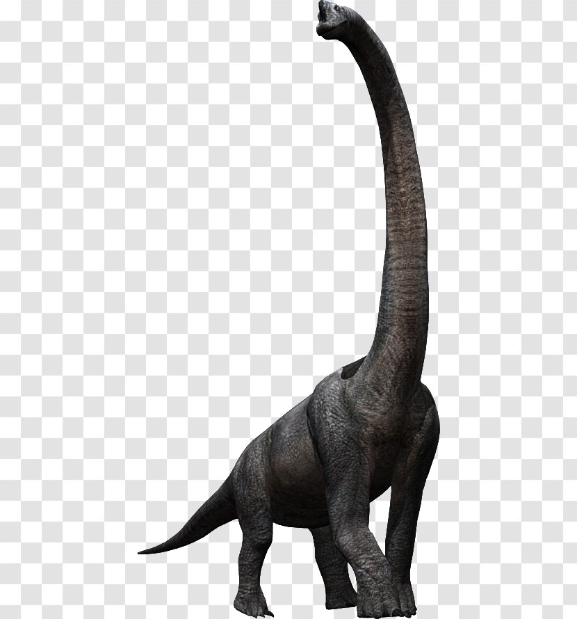 Tyrannosaurus Brachiosaurus Velociraptor Triceratops Jurassic Park Organism Transparent Png