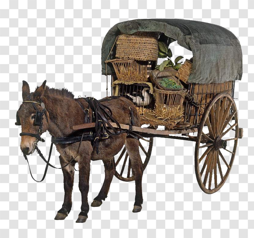 Mule Horse And Buggy Cart - Working Animal - Pull Real Map Transparent PNG