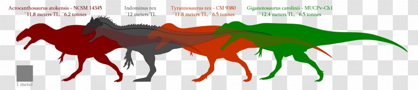 Giganotosaurus Velociraptor Acrocanthosaurus Carcharodontosaurus Spinosaurus - Text - Jurassic Park Transparent PNG