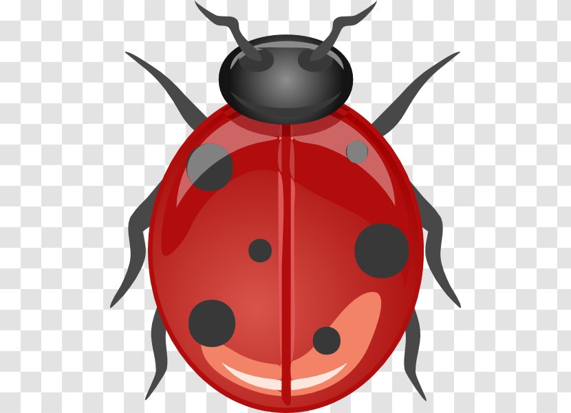 Beetle Drawing Clip Art - Insect - Bug Transparent PNG